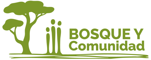 Formación Bosque y Comunidad